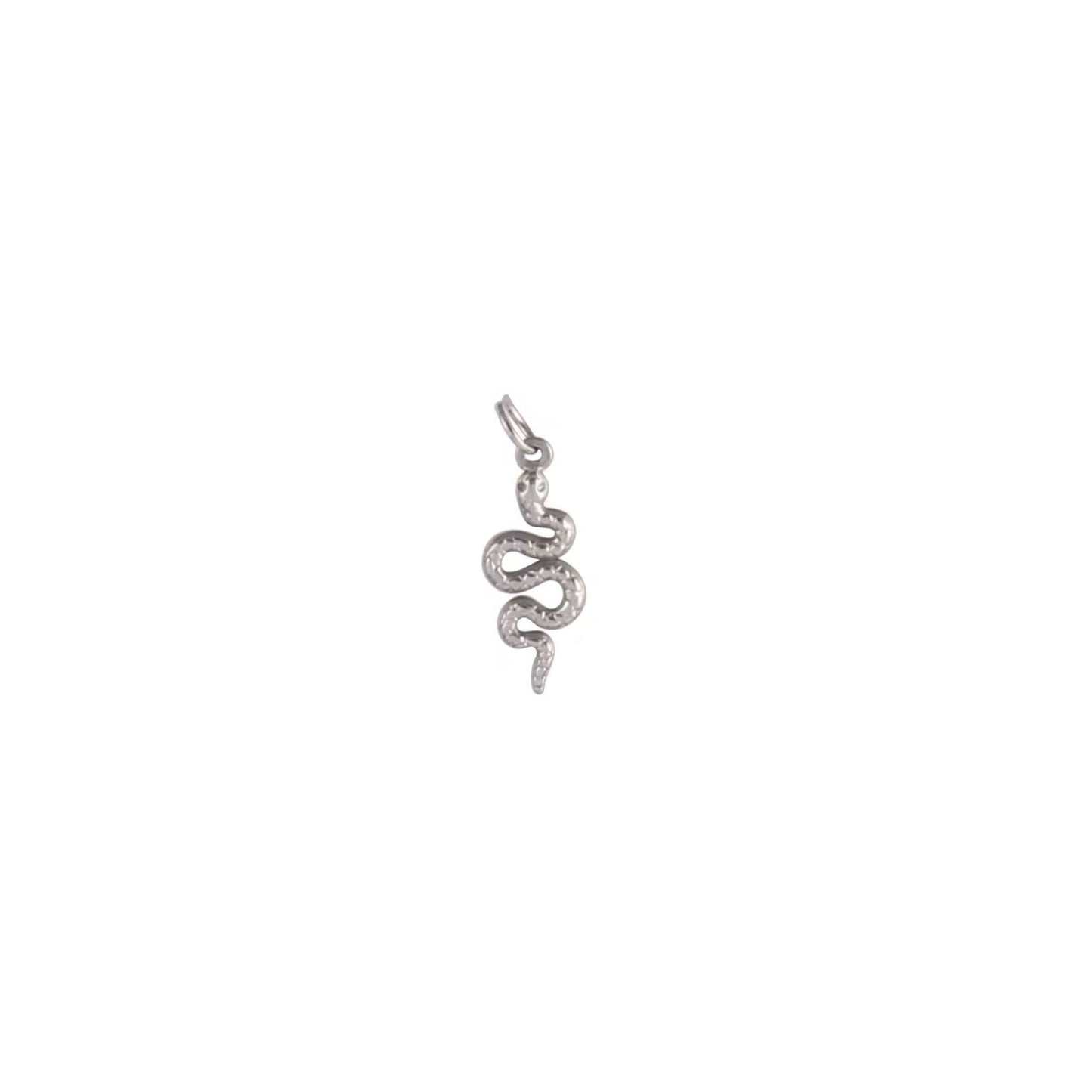 Silver Charms